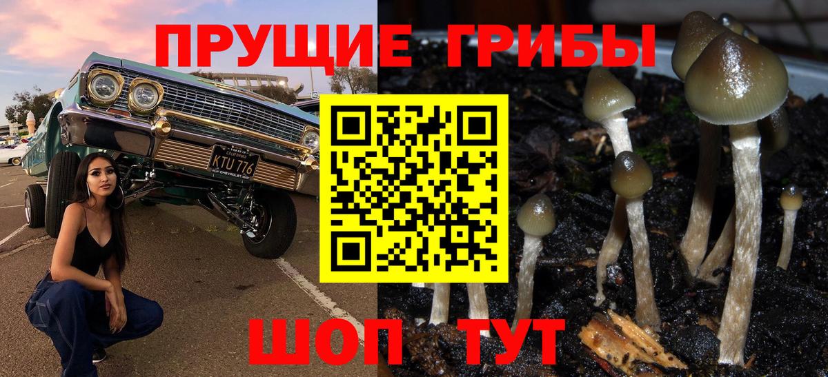 как найти закладки  Галлюциногенные грибы GOLDEN TEACHER  Вход с VPN  Валуйки 
