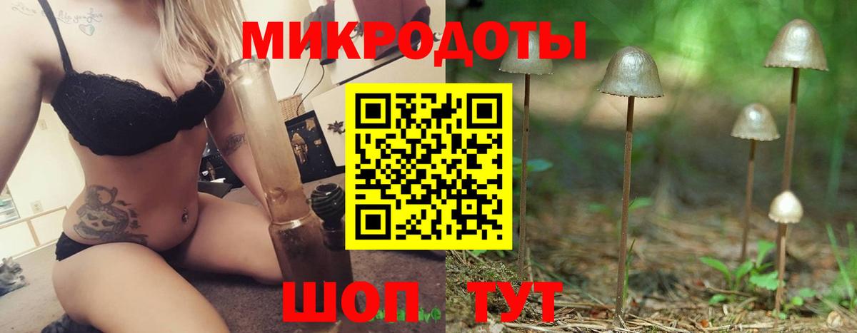 Псилоцибиновые грибы Cubensis Валуйки
